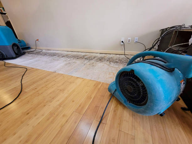 Professional Flood Damage Cleanup technician working in Buckner, MO